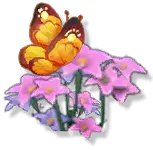 Yellow Butterfly - flower - Transparent Background PNG