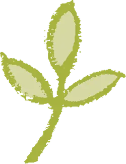 Clover - Designer Recommended PNG - Free Download PNG