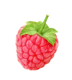 Raspberry - red - juicy - Transparent Layer PNG