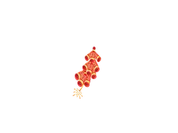 Firecrackers - red - No Watermark PNG