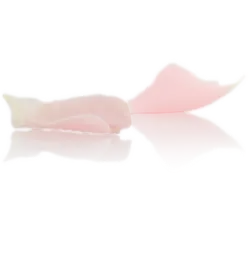 Pink Petals - flower - Designer's Pick PNG