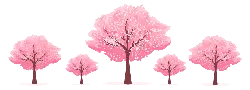 Pink Cherry Blossom Trees - pink - No Background PNG