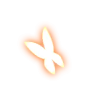 Butterfly - flying - beautiful - PNG
