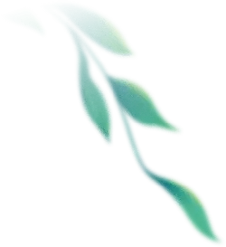 Green Branches - leaves - No Background PNG