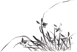 Snowdrop - night - High Resolution PNG