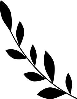 Black Owl - owl - Lossless PNG - Pic 7