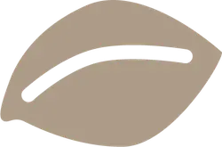 Leaf - Free Download PNG - environmental protection