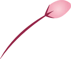 Cherry Blossom Branch - pink - branch - Transparent Background PNG