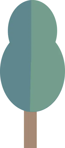 Tree - No Watermark PNG - ecology