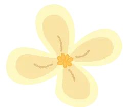 Yellow Flower - simple - cartoon - Transparent Background PNG