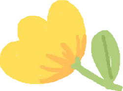 Yellow Flower - drawing - Free Download PNG