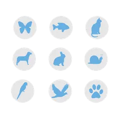 Butterfly - blue - High Resolution PNG