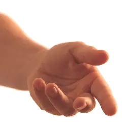 Baby Hand - High Quality PNG