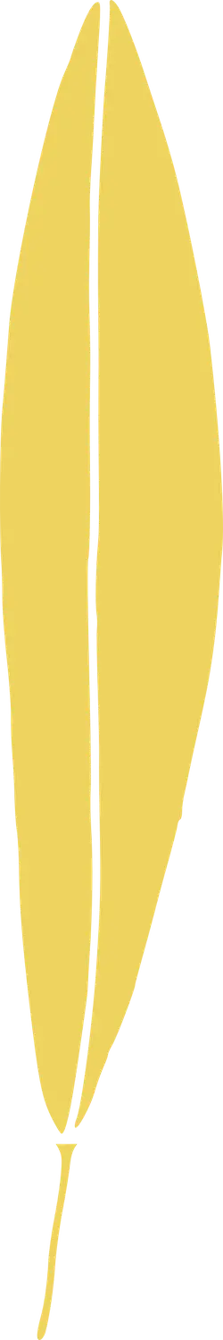 Leaf - High Resolution PNG - Popular Download PNG