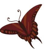 Red Butterfly - Transparent Layer PNG