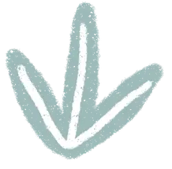 Clover - growth - Free Download PNG