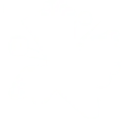 Starburst Pattern - burst - Transparent Background PNG