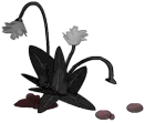 White Flowers - nature - Free PNG