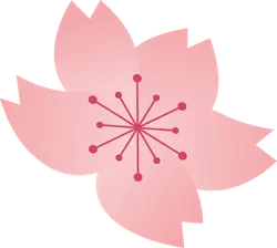 Cherry Blossom - Trending PNG - pink