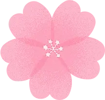 Cherry Blossom - beautiful - Fast Download PNG - Pic 1