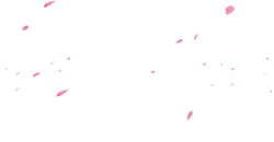 Pink Petals Falling - romantic - High Quality PNG