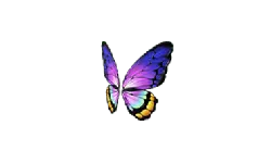 Rainbow Butterfly - nature - Transparent Layer PNG