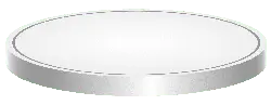 Silver Disc - No Background PNG