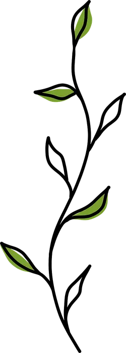 Green Leaves - creative - No Background PNG