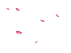 Pink Petals - Designer Recommended PNG - pink