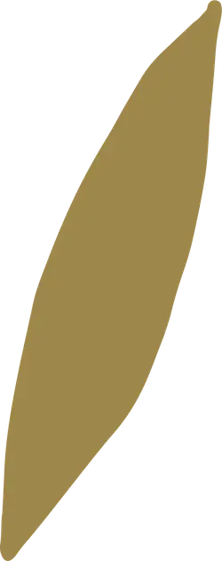 Leaf - PNG Images - green