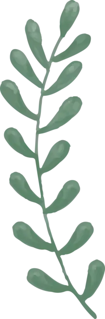 Green Plant Branch - leaves - plant - Free PNG