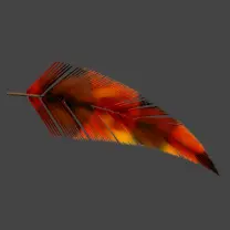 Feather - art - colorful - Transparent Layer PNG