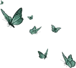 Green Butterfly - design - No Watermark PNG