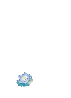 Blue Lotus - nature - High Resolution PNG
