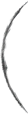 Crescent Moon - moon - PNG