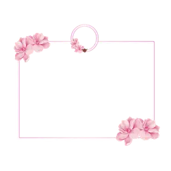 Pink Flower Decorative Frame - pink - No Watermark PNG