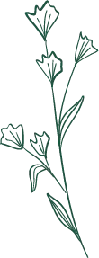 Green Line Flower - simple - Free Download PNG