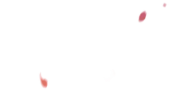 Pink Light Spots - High Quality PNG