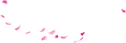 Pink Petals Falling - PNG - nature