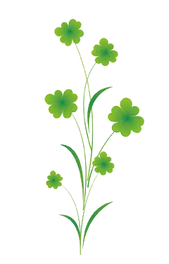 Clover - lucky - flower - No Watermark PNG