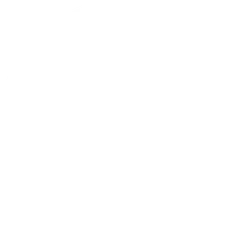 White Circle - Trending PNG