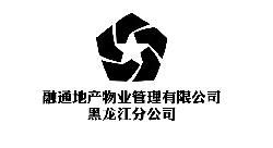 night activity - High Resolution PNG - Black Owl - Pic 10