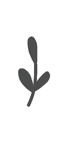 Clover - growth - Free for Commercial Use PNG
