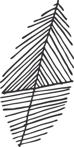 Feather - art - Popular Download PNG