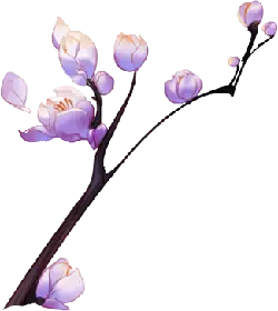 Plum Blossom - nature - PNG Images