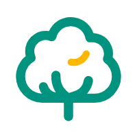 Tree - ecology - plant - Free Download PNG