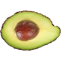 Avocado - green - Curated PNG