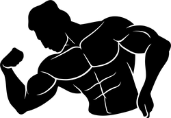 owl - No Background PNG - Black Owl - Pic 4