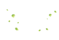 Green Light Spots - green - light spots - No Watermark PNG