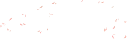 Pink Feathers - falling - Free PNG
